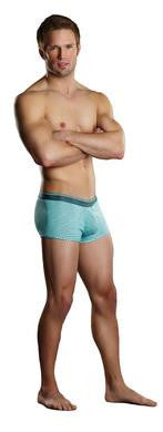 Heather Stripe Pouch Enhancer Short - Mint and Grey - Small