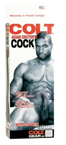 Colt Adam Dexter's Dong