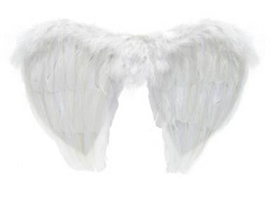 Feather Wings - White