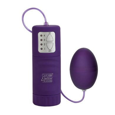 Waterproof Pocket Exotics Egg -Purple