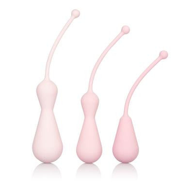 Inspire Weighted Silicone Kegel Training Kit