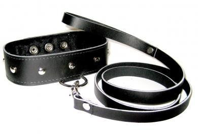 Leather Leash and Collar Set